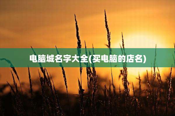 电脑城名字大全(买电脑的店名)