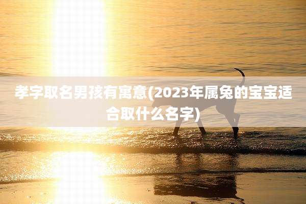 孝字取名男孩有寓意(2023年属兔的宝宝适合取什么名字)