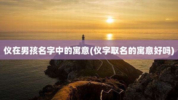 仪在男孩名字中的寓意(仪字取名的寓意好吗)