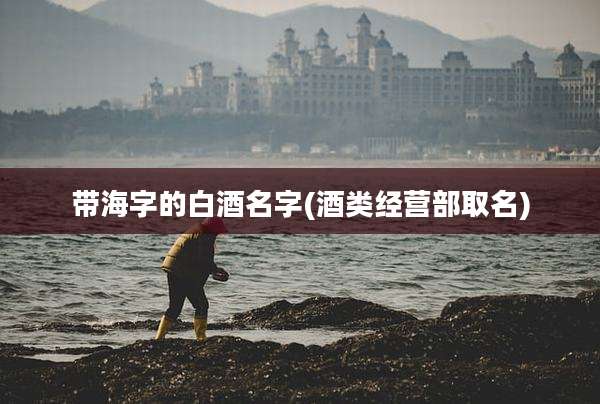 带海字的白酒名字(酒类经营部取名)