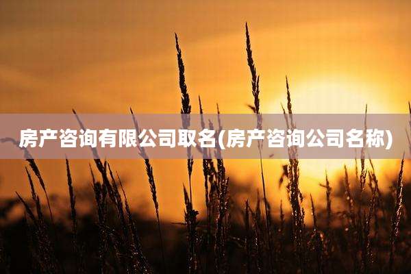 房产咨询有限公司取名(房产咨询公司名称)