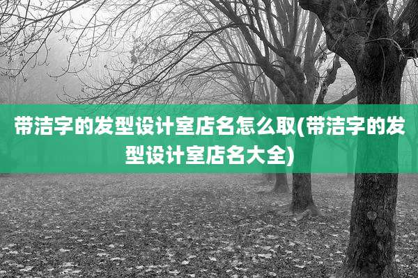 带洁字的发型设计室店名怎么取(带洁字的发型设计室店名大全)