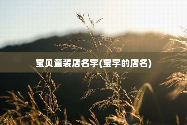 宝贝童装店名字(宝字的店名)