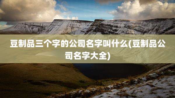 豆制品三个字的公司名字叫什么(豆制品公司名字大全)