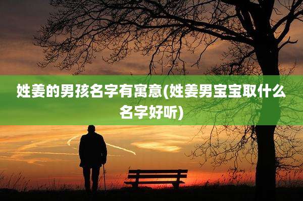 姓姜的男孩名字有寓意(姓姜男宝宝取什么名字好听)