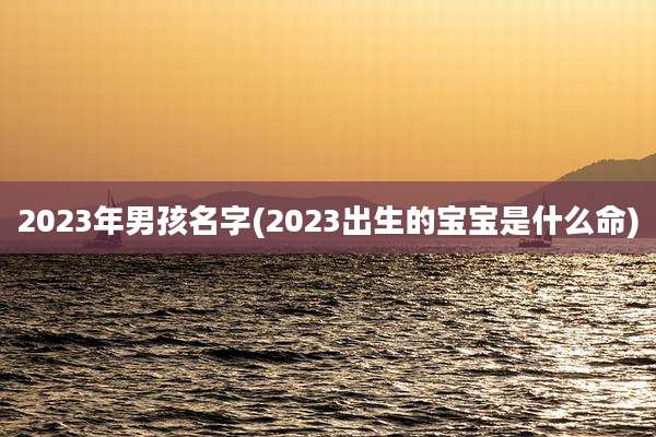 2023年男孩名字(2023出生的宝宝是什么命)