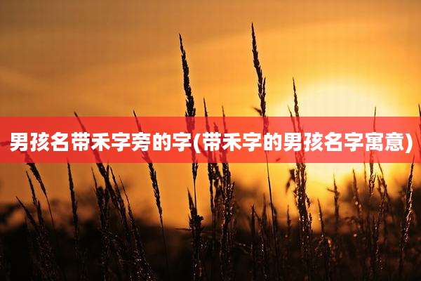 男孩名带禾字旁的字(带禾字的男孩名字寓意)
