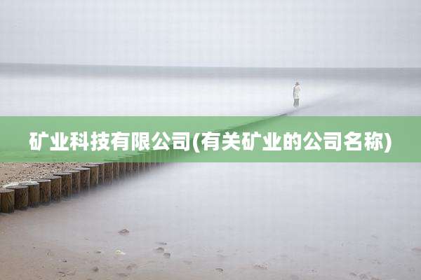 矿业科技有限公司(有关矿业的公司名称)