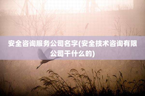 安全咨询服务公司名字(安全技术咨询有限公司干什么的)