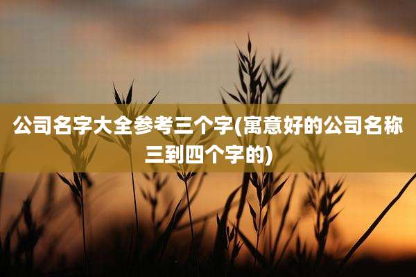 公司名字大全参考三个字(寓意好的公司名称三到四个字的)
