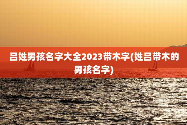 吕姓男孩名字大全2023带木字(姓吕带木的男孩名字)