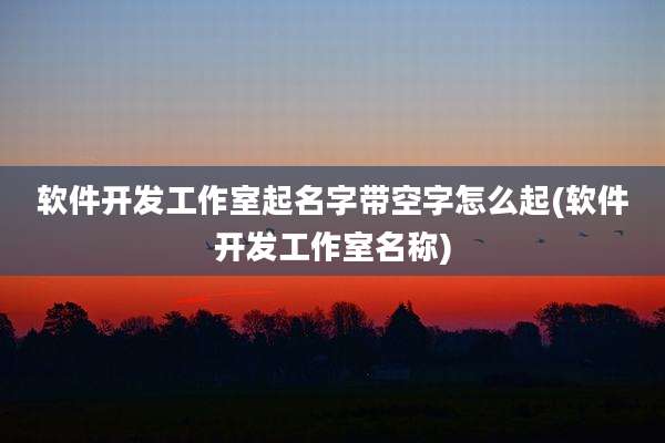 软件开发工作室起名字带空字怎么起(软件开发工作室名称)