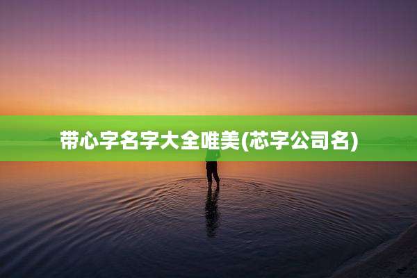 带心字名字大全唯美(芯字公司名)