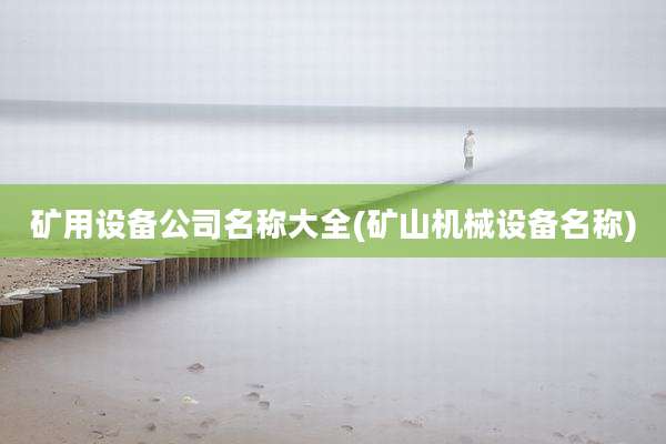 矿用设备公司名称大全(矿山机械设备名称)