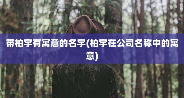 带柏字有寓意的名字(柏字在公司名称中的寓意)