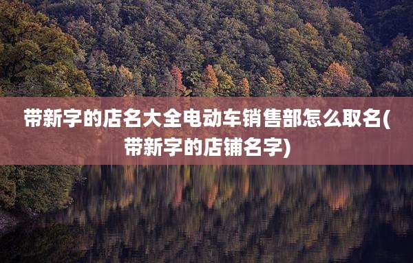 带新字的店名大全电动车销售部怎么取名(带新字的店铺名字)
