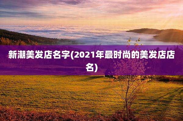 新潮美发店名字(2021年最时尚的美发店店名)