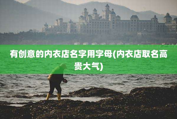 有创意的内衣店名字用字母(内衣店取名高贵大气)
