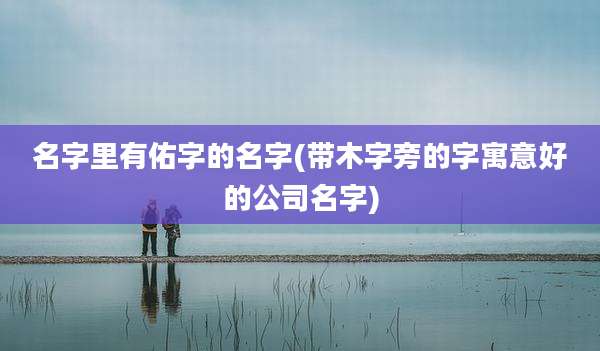 名字里有佑字的名字(带木字旁的字寓意好的公司名字)