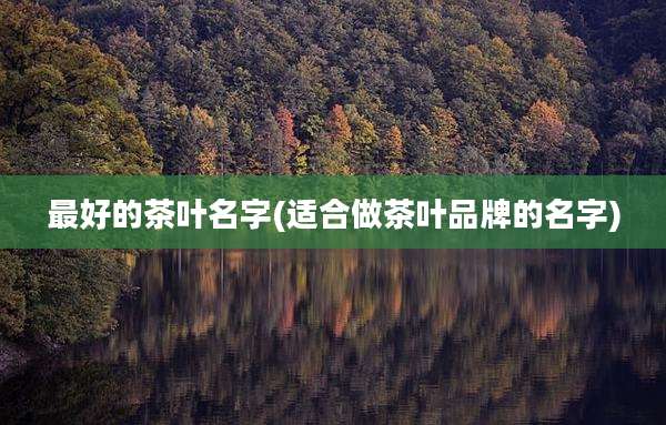 最好的茶叶名字(适合做茶叶品牌的名字)
