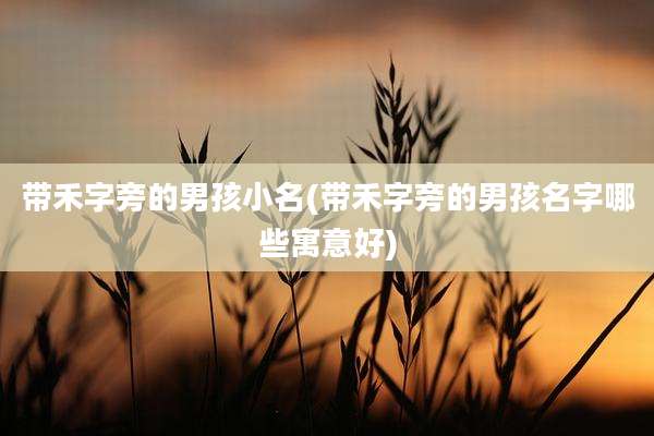 带禾字旁的男孩小名(带禾字旁的男孩名字哪些寓意好)