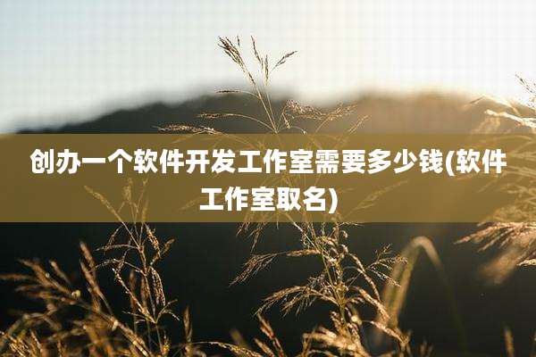 创办一个软件开发工作室需要多少钱(软件工作室取名)