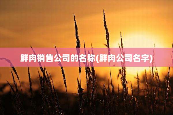 鲜肉销售公司的名称(鲜肉公司名字)