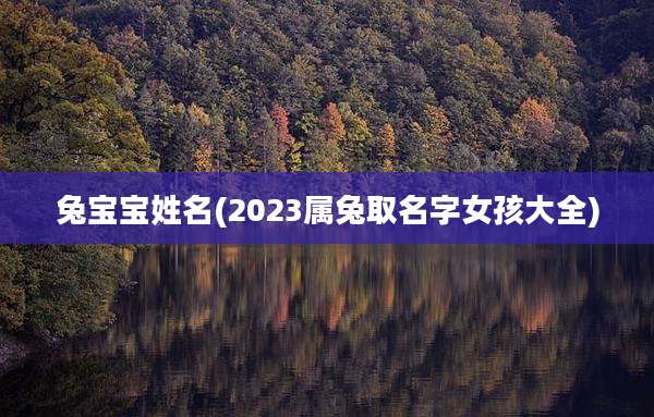 兔宝宝姓名(2023属兔取名字女孩大全)