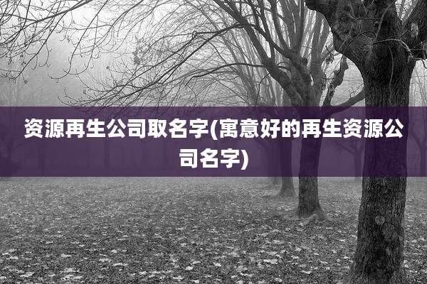 资源再生公司取名字(寓意好的再生资源公司名字)