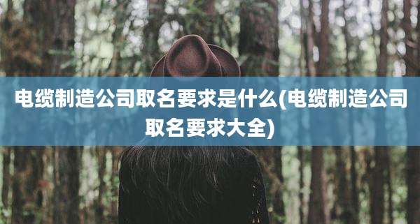 电缆制造公司取名要求是什么(电缆制造公司取名要求大全)