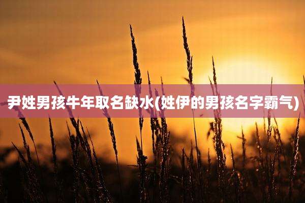 尹姓男孩牛年取名缺水(姓伊的男孩名字霸气)