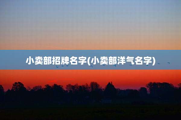 小卖部招牌名字(小卖部洋气名字)