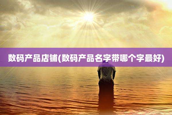 数码产品店铺(数码产品名字带哪个字最好)