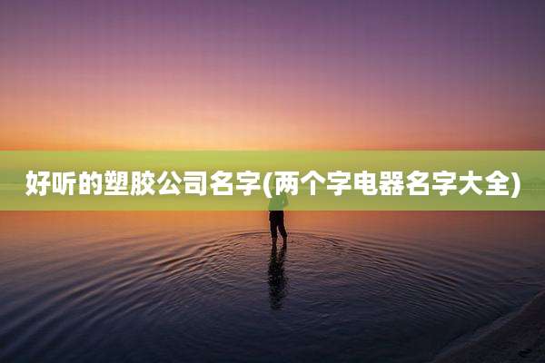 好听的塑胶公司名字(两个字电器名字大全)