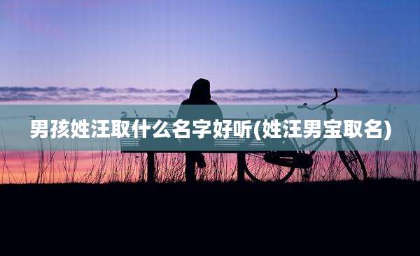 男孩姓汪取什么名字好听(姓汪男宝取名)