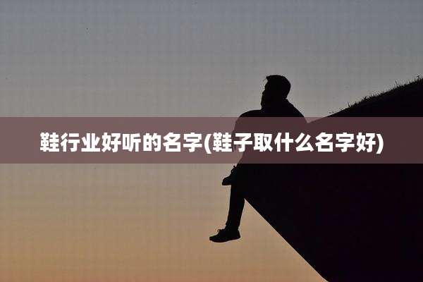 鞋行业好听的名字(鞋子取什么名字好)