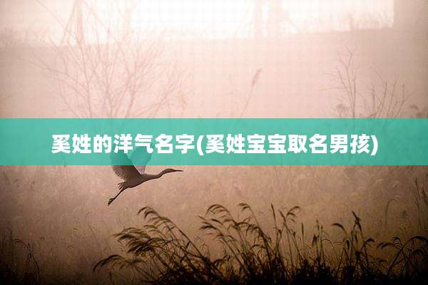 奚姓的洋气名字(奚姓宝宝取名男孩)