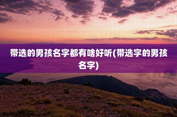 带选的男孩名字都有啥好听(带选字的男孩名字)