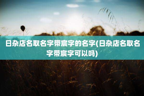 日杂店名取名字带宸字的名字(日杂店名取名字带宸字可以吗)