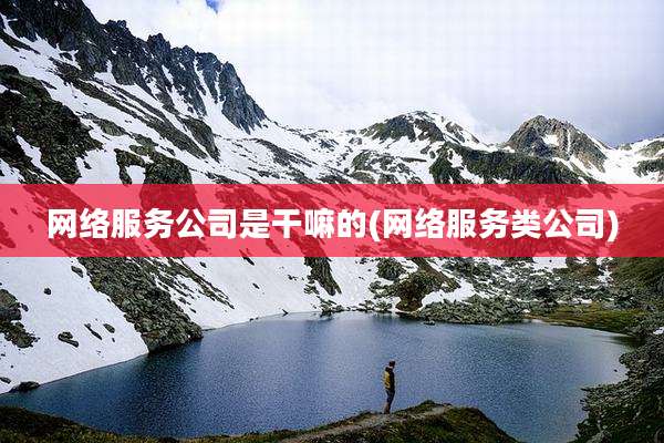 网络服务公司是干嘛的(网络服务类公司)