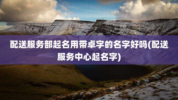 配送服务部起名用带卓字的名字好吗(配送服务中心起名字)