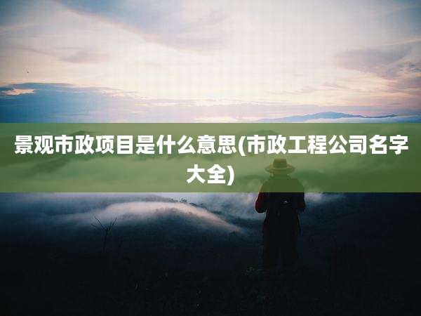 景观市政项目是什么意思(市政工程公司名字大全)