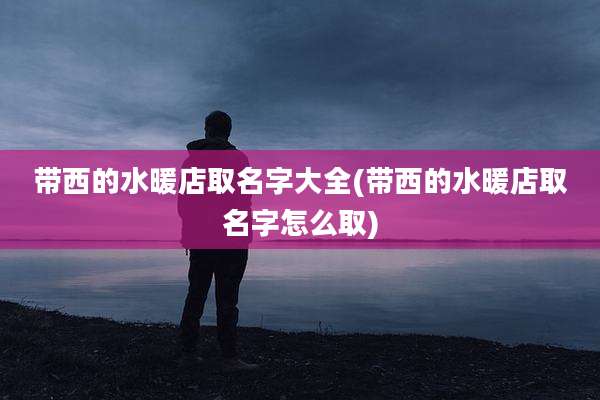 带西的水暖店取名字大全(带西的水暖店取名字怎么取)