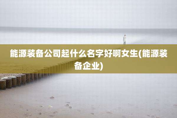 能源装备公司起什么名字好啊女生(能源装备企业)