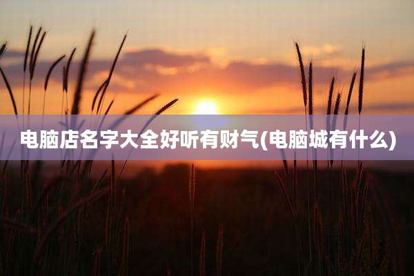 电脑店名字大全好听有财气(电脑城有什么)