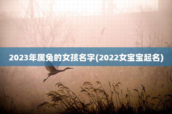 2023年属兔的女孩名字(2022女宝宝起名)