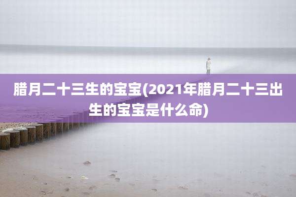 腊月二十三生的宝宝(2021年腊月二十三出生的宝宝是什么命)