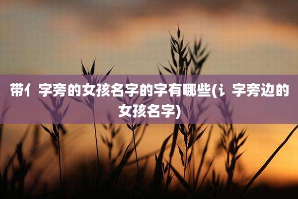 带亻字旁的女孩名字的字有哪些(讠字旁边的女孩名字)