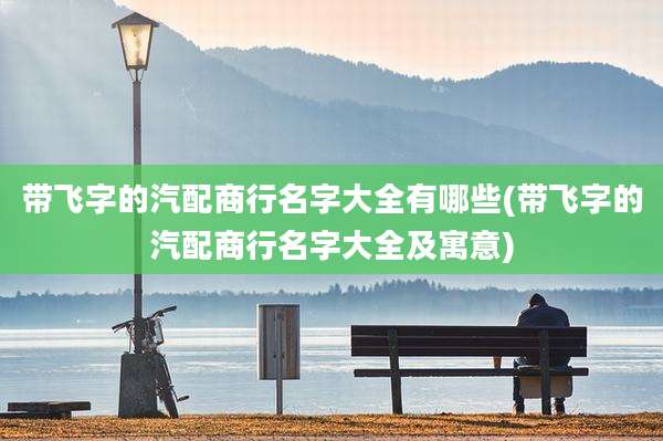 带飞字的汽配商行名字大全有哪些(带飞字的汽配商行名字大全及寓意)