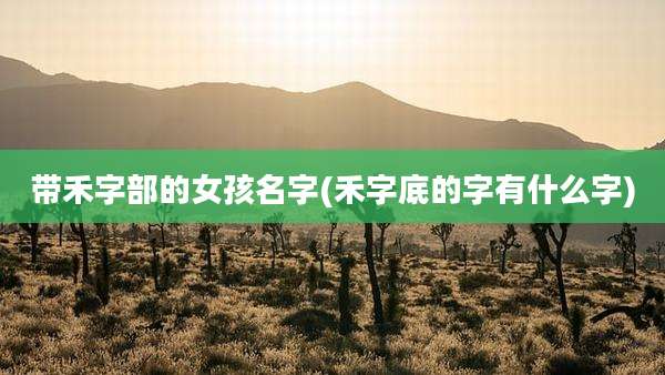 带禾字部的女孩名字(禾字底的字有什么字)